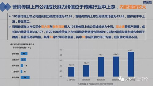 营销传媒上市公司财务绩效报告