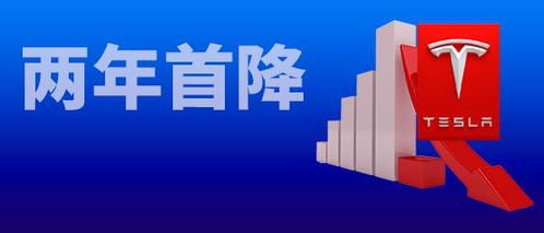 上海工厂停产22天,特斯拉季度业绩两年环比首次下滑