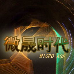 牡丹江市微盛时代广告工作室诚聘网络销售 互联网广告业务 人事专员 销售主管 销售经理