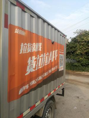 货拉拉车贴是否违规