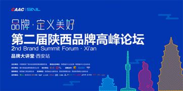 因赛集团董事长王建朝 洞察为品牌赋能 品牌大讲堂分享