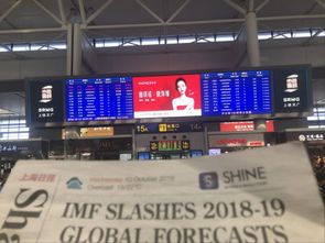 雅琪诺闪耀霸屏,优客计划全面席卷而来