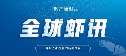 牛年市场火爆 牛虾抢购潮席卷，价格暴涨引发行业变革